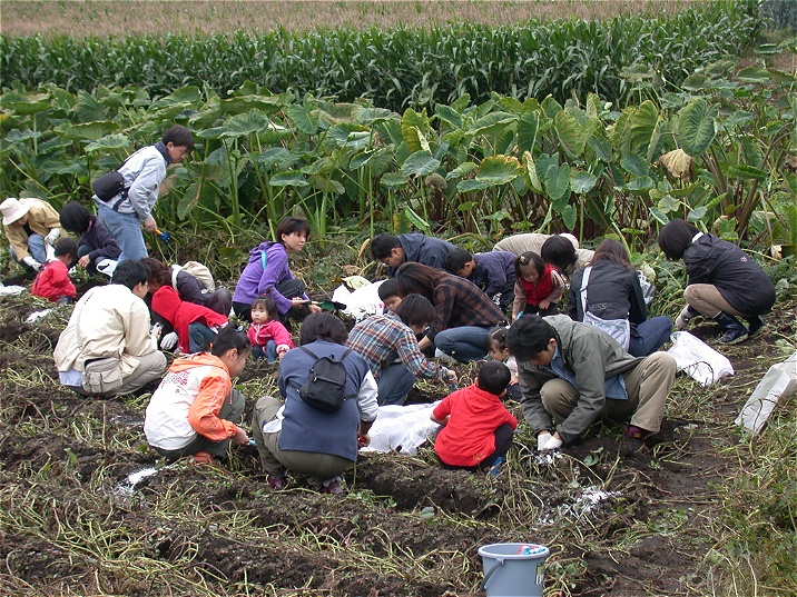 satumaimohori20032025.jpg 716537 298K