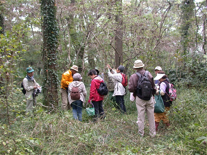 akigasekansatukai20051103.jpg 716537 308K