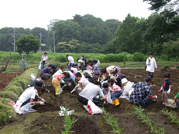 jyagaimohori20050709.jpg 614460 183K
