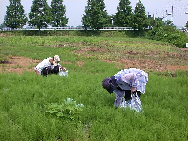 sugina20050724.jpg 614460 177K