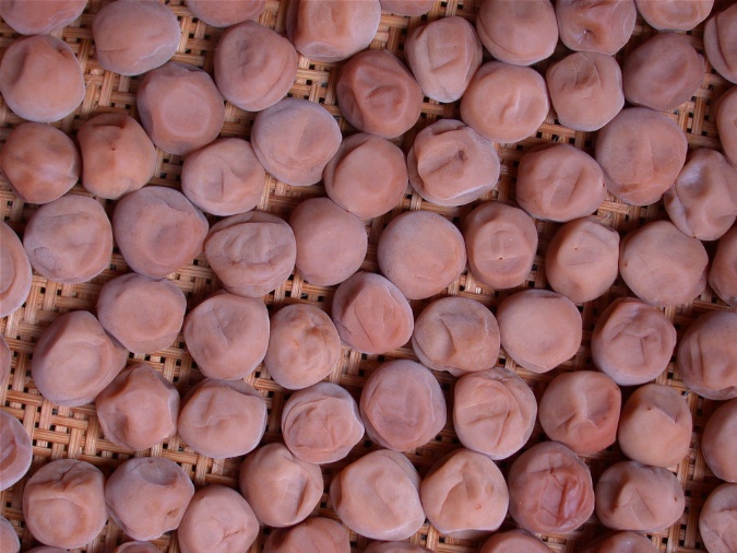 umebosi20050804.jpg 675506 138K