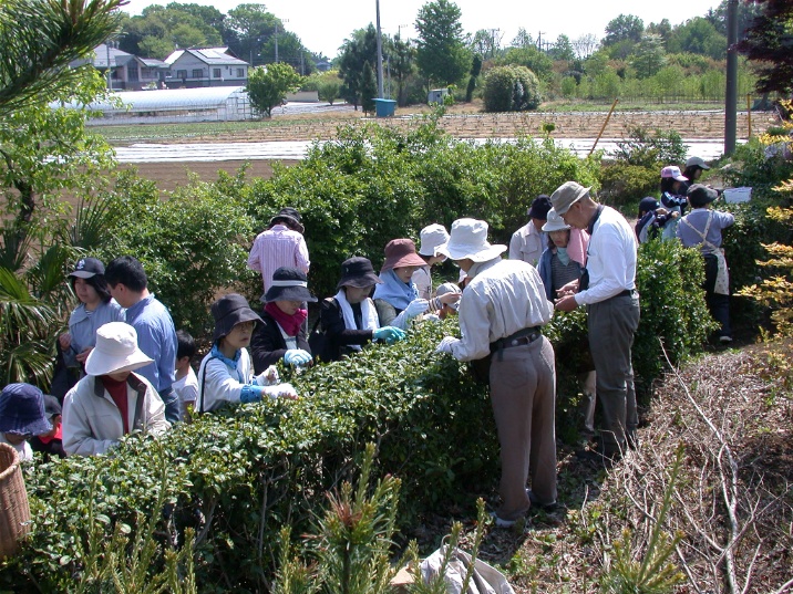 20060504.jpg 716537 274K