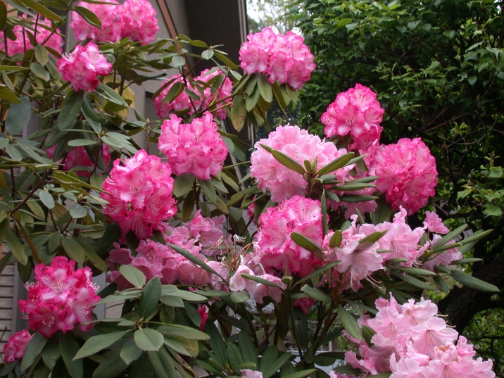 grp0506064824.jpg 716537 210K