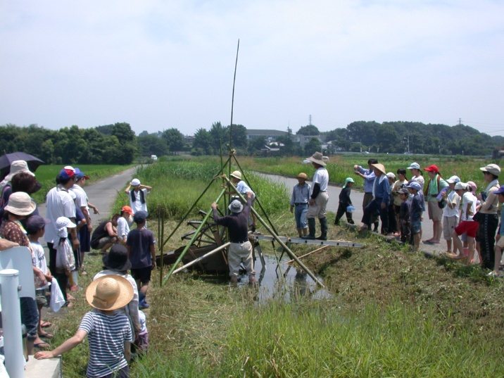 grp0718085117.jpg 716×537 160K