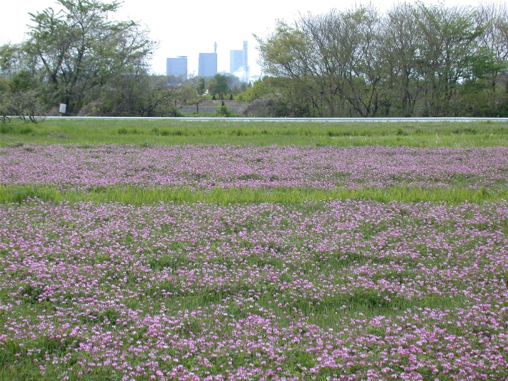 rengesou20060415.jpg 716537 267K