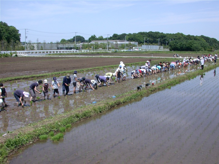 taue20060521.jpg 716537 158K