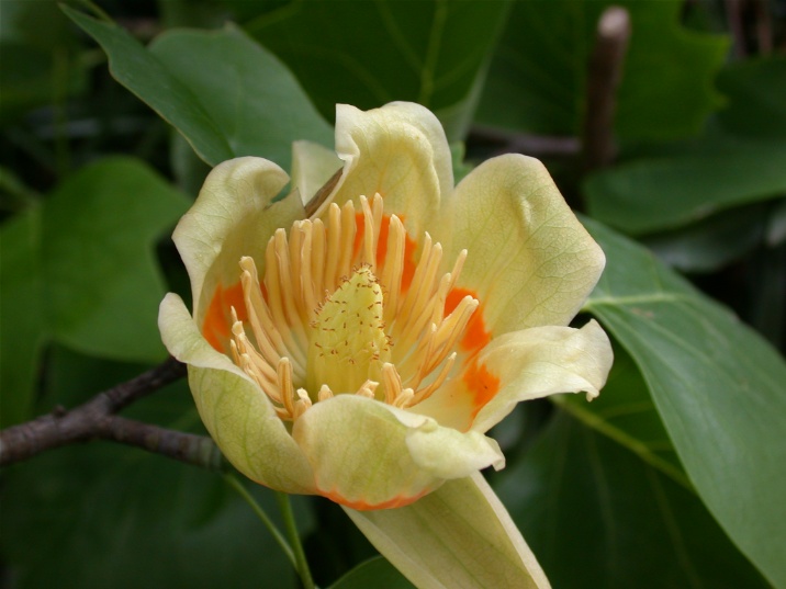 yurinoki0524.jpg 716537 93K
