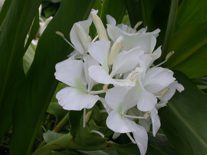 20070904.jpg 716��537 72K