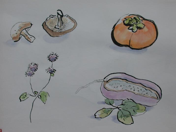 ga.JPG 716��537 36K