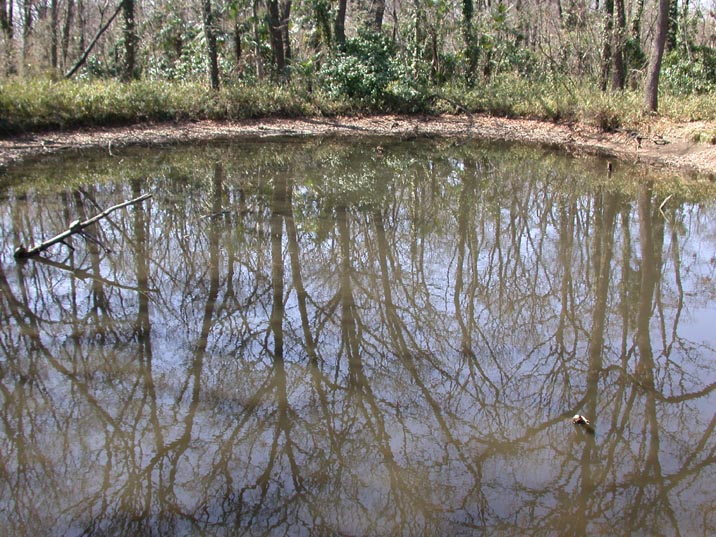 akegase20080316.JPG 716��537 134K