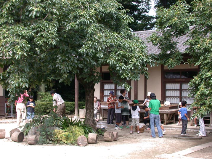 beigoma20080827.JPG 716��537 125K