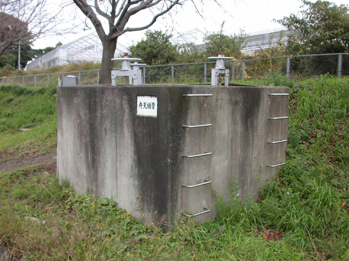 bententoikan20081106.JPG 716��537 96K