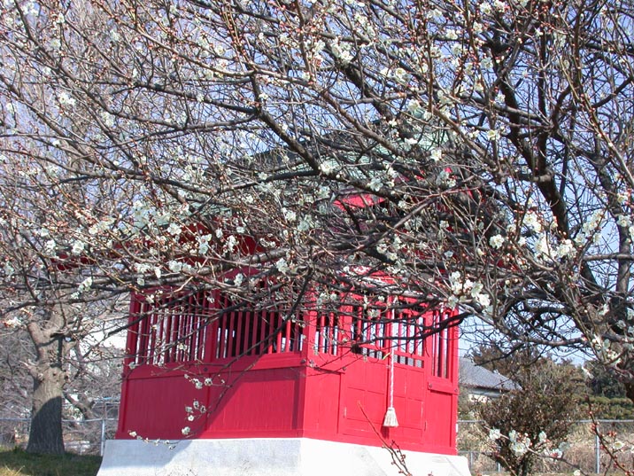 benzaiten20080301.JPG 716��537 186K