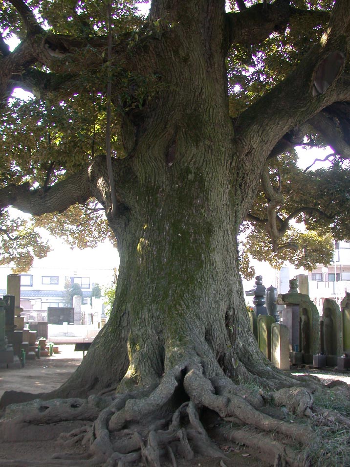 grp0225141219.JPG 716��955 174K