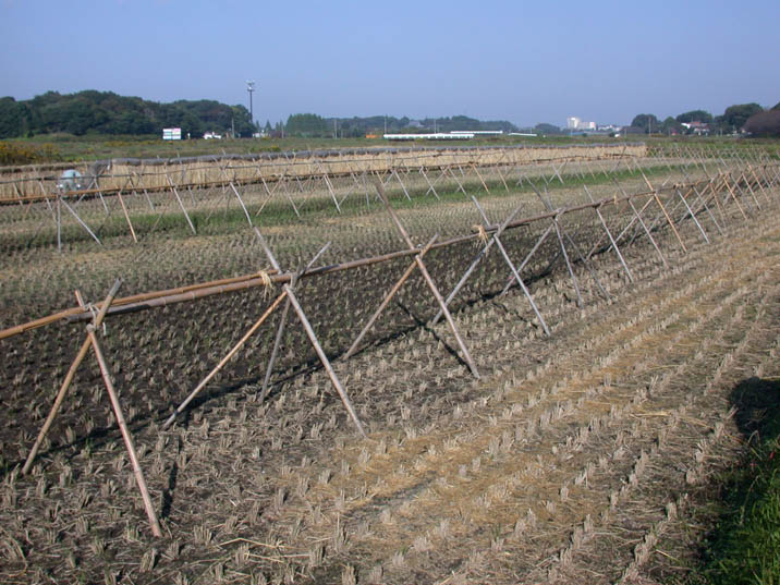 grp1021005001.JPG 716��537 102K