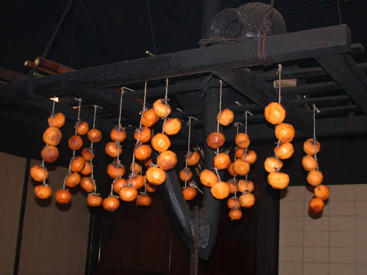 ibusi-hidana20081128.JPG 716��537 55K