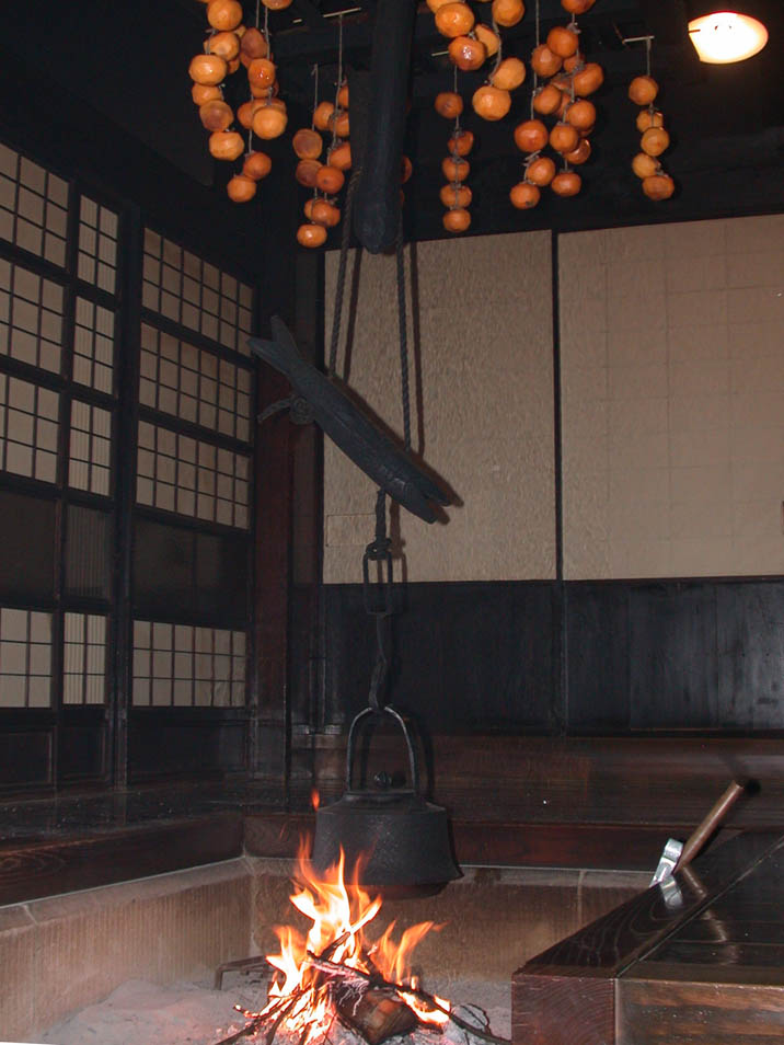 ibusigaki20081128.JPG 716��954 93K