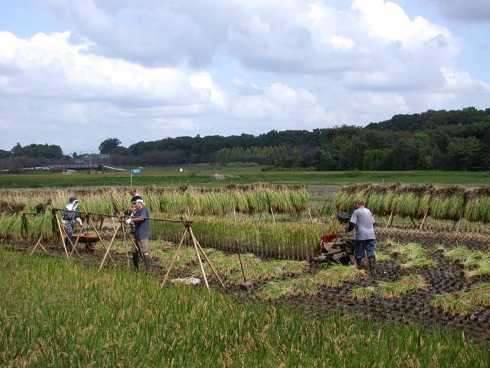 inekari20081009.JPG 716��537 72K