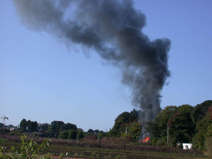 kokuen20081113.JPG 716��537 42K