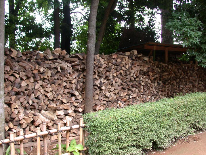 makitumi20080727.JPG 716��537 146K