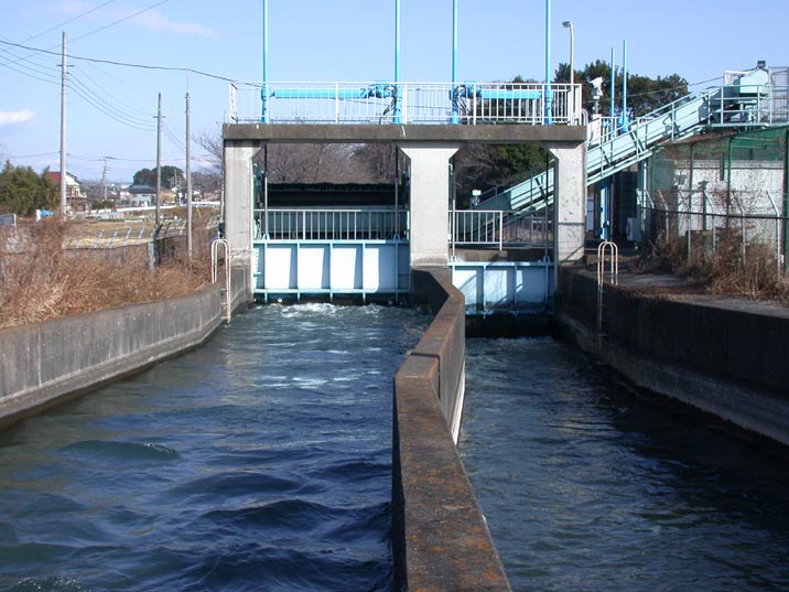 minumadaiyosui20080104.JPG 716��537 83K