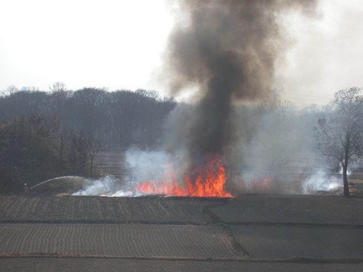 noyaki20080222.JPG 716��537 35K