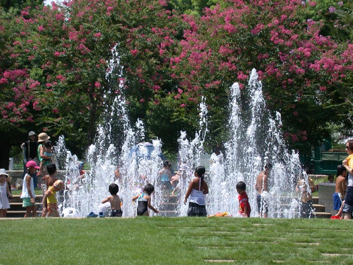 saitamasutajiamu20080820.JPG 716��537 139K