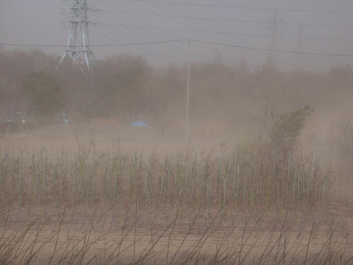 sajinarasi20080223.JPG 716��537 39K