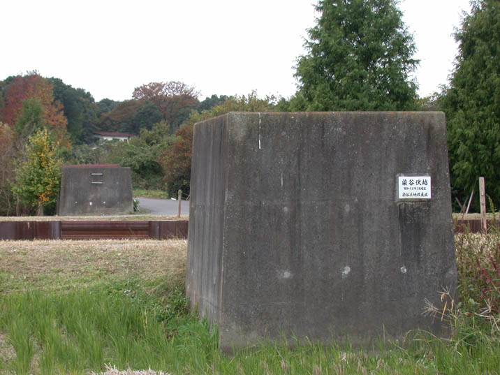 someyafusegoe20081106.JPG 716��537 76K