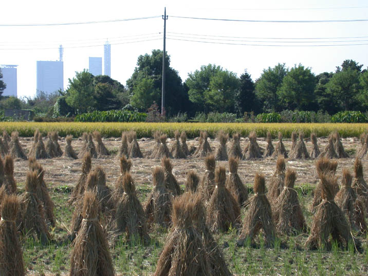 tanbo20081013.JPG 716��537 93K