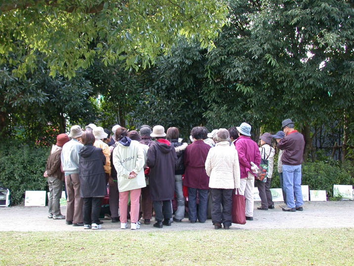 usirosugata20081104.JPG 716��537 124K