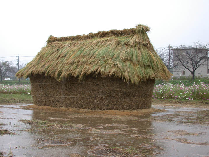 warabotuti20081024.JPG 716��537 84K