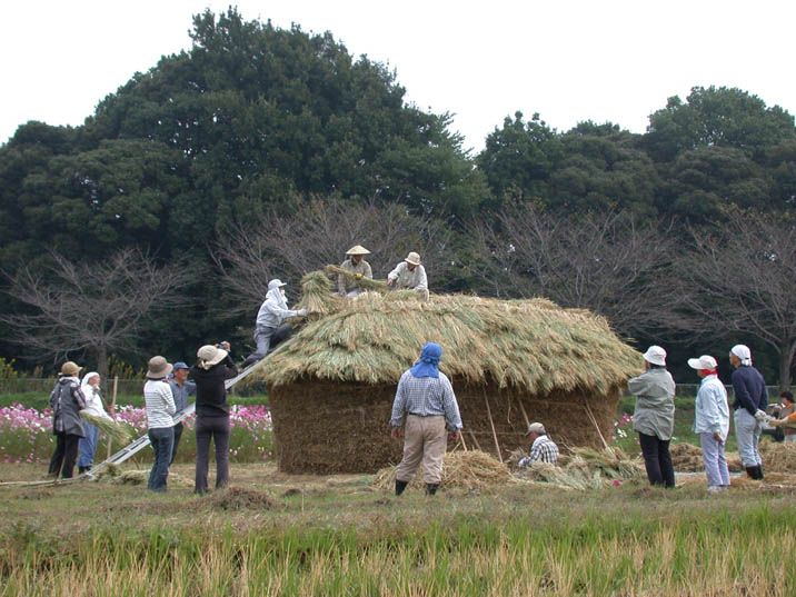 warabotutitukuri20081023.JPG 716��537 93K