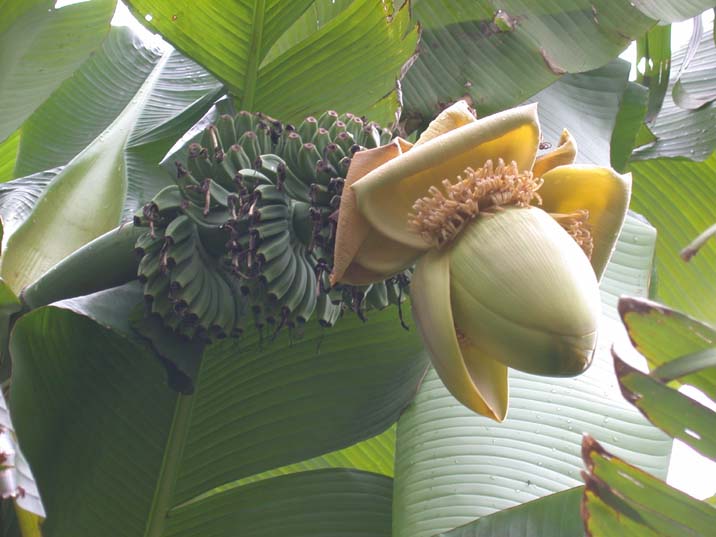 grp0701063709.JPG 716��537 53K