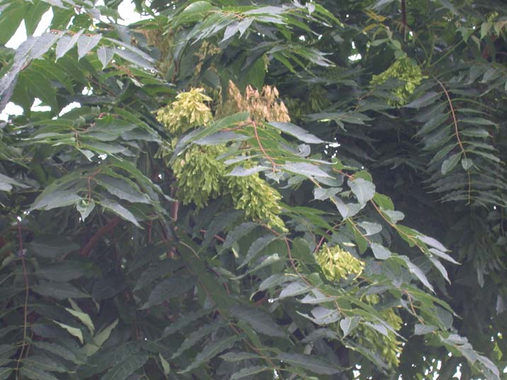 grp0701065345.JPG 716��537 68K