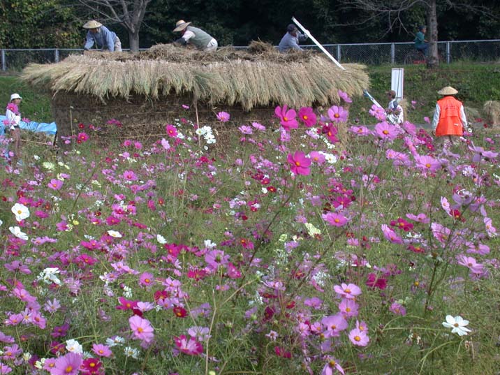 hunano091022.JPG 716��537 110K