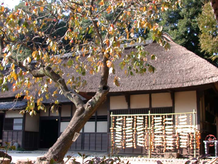 huyujitaku091106.JPG 716��537 104K