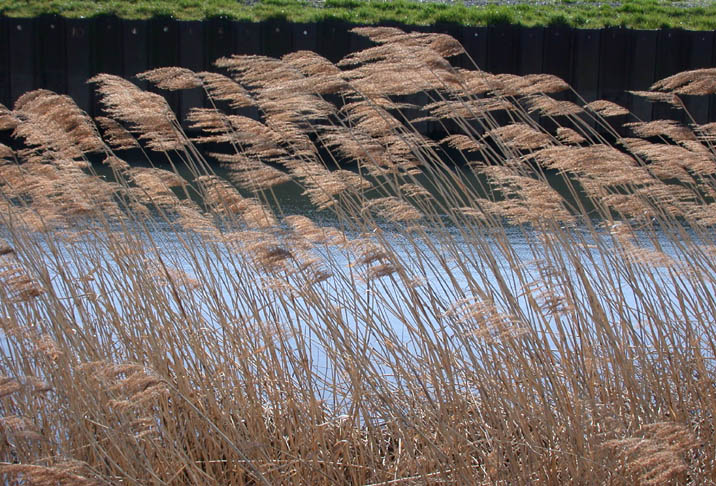 kitakaze090302.JPG 716��486 132K