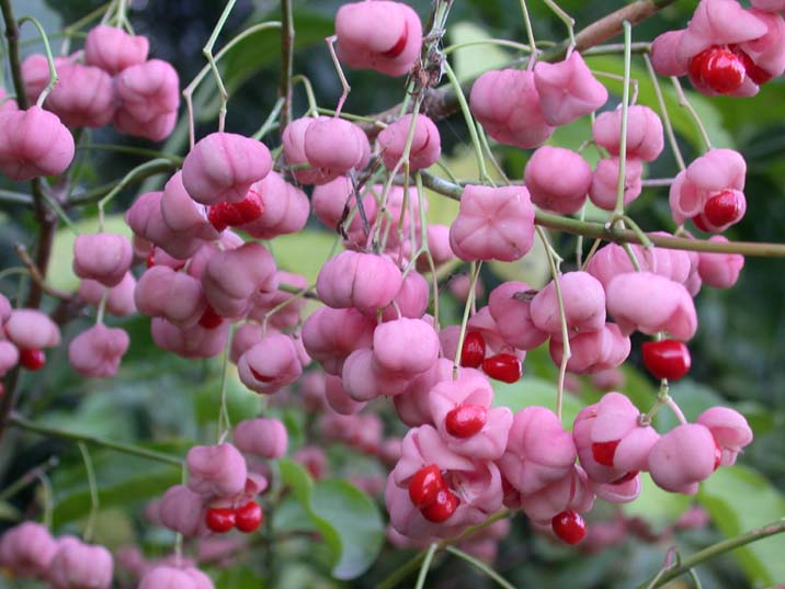 mayumi091022.JPG 716��537 59K