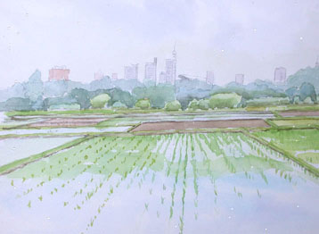 miedasadako358090608.JPG 358��262 22K