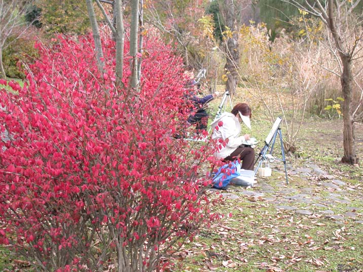 nisikigi091116.JPG 716��537 128K