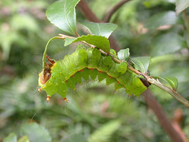 oomizuao090712.JPG 716��537 42K