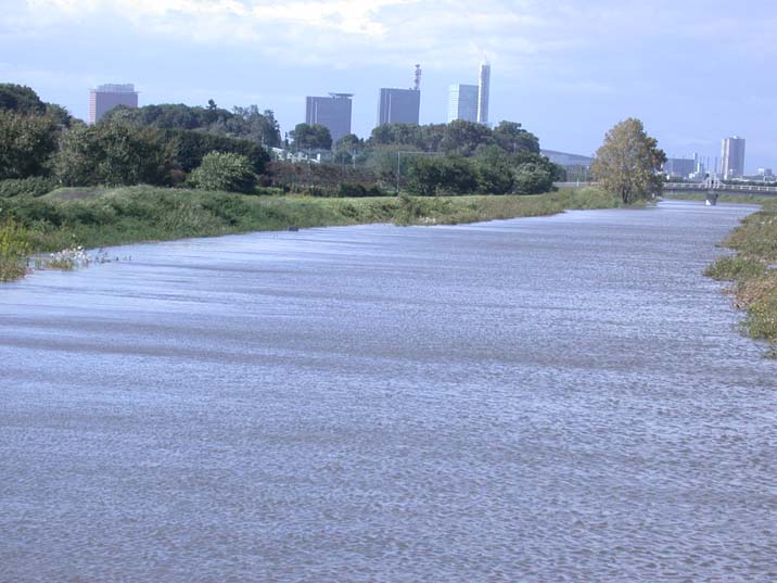 sibakawa091008.JPG 716��537 63K