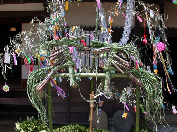 tanabatauma090707.JPG 716��537 110K