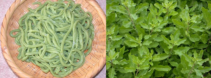 udon-kuko091201-21.jpg 716��267 119K