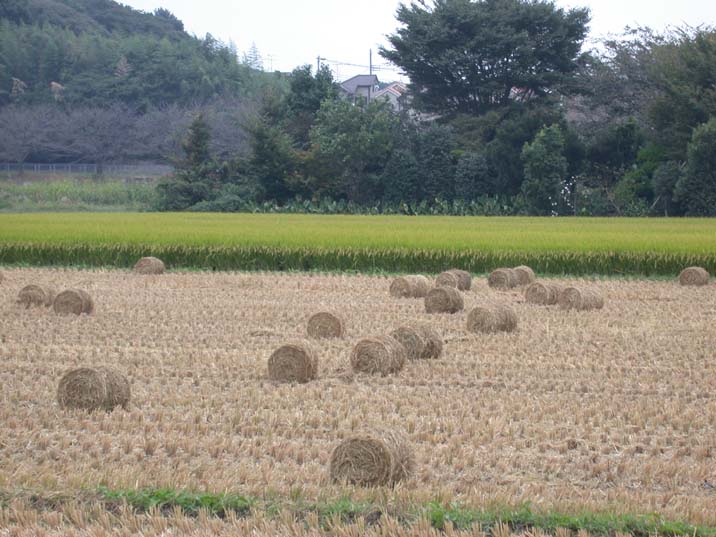 wararoru090927.JPG 716��537 76K