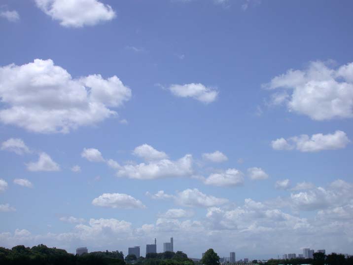 aozora100804-1.JPG 716��537 23K