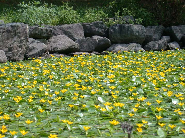 asaza100827-2.JPG 716��537 108K