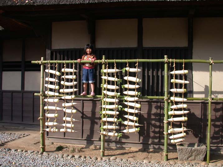 daikonhosi101128-1.JPG 716537 76K