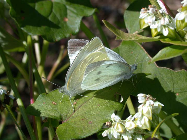 grp1202084447.JPG 716��537 57K